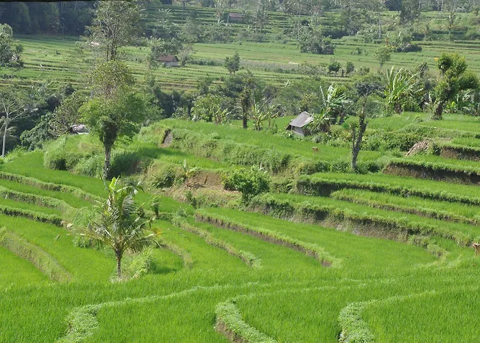 Uma Agung 3*