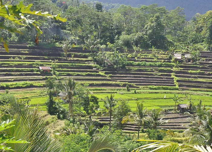Maison d'hôtes Uma Agung